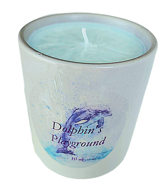 Dolphin's Playground Candle