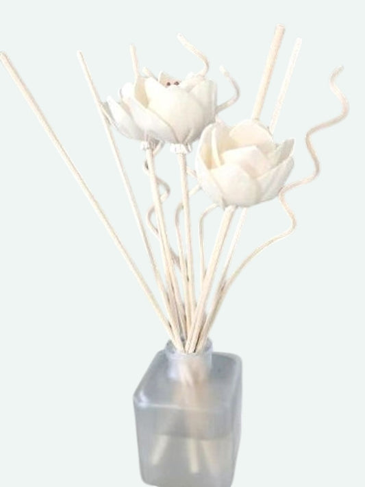 Cashmere Plum reed diffuser