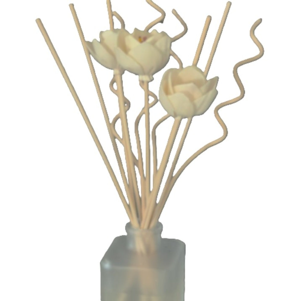 Cashmere Plum reed diffuser