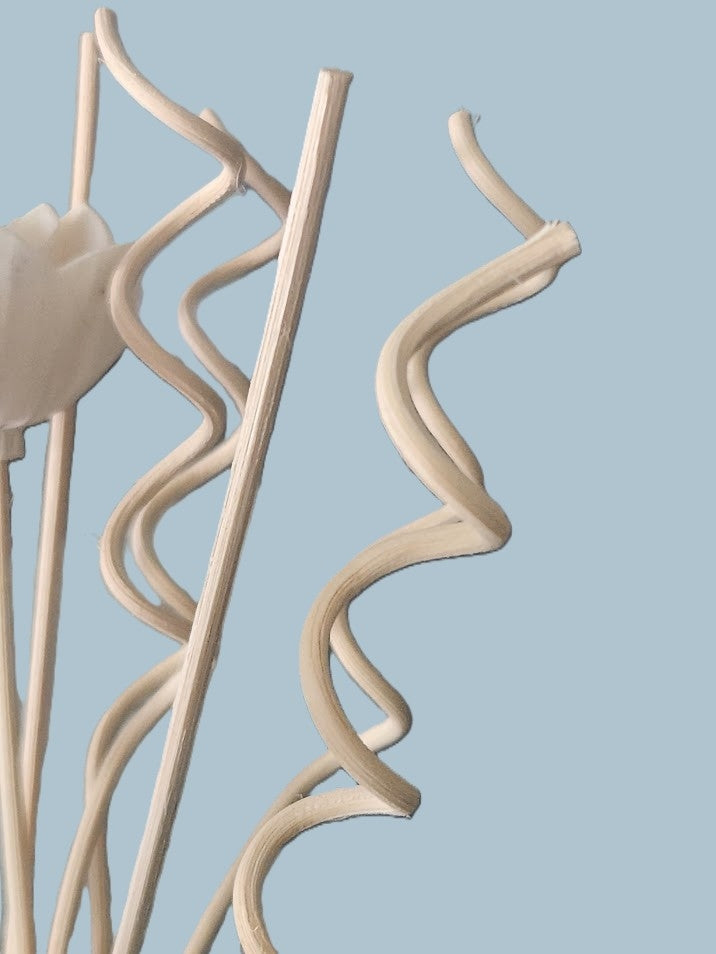 Cashmere Plum reed diffuser