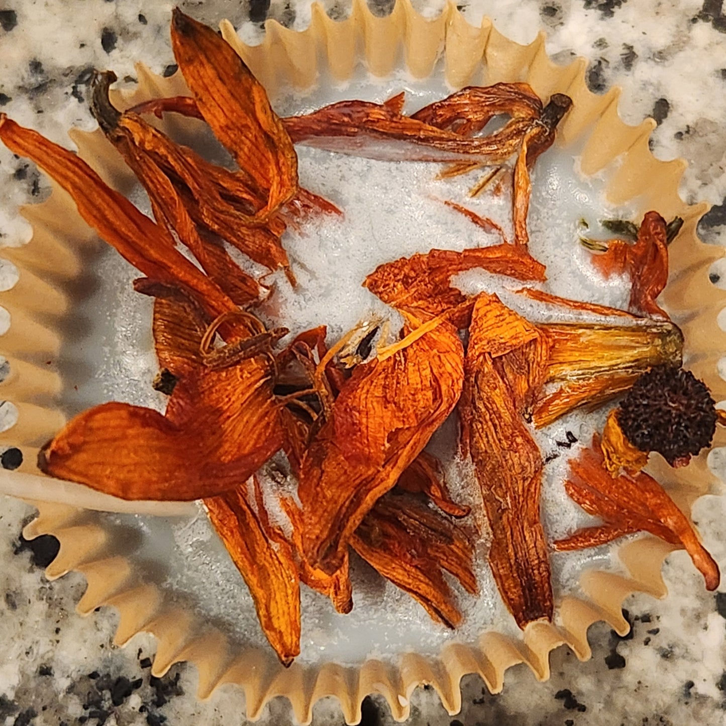 Fire Starters for fireplace and campfires