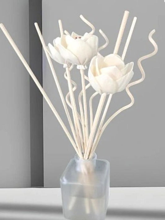 Cashmere Plum reed diffuser